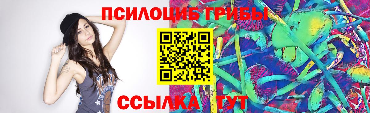 Псилоцибиновые грибы Psilocybine cubensis Усолье-Сибирское