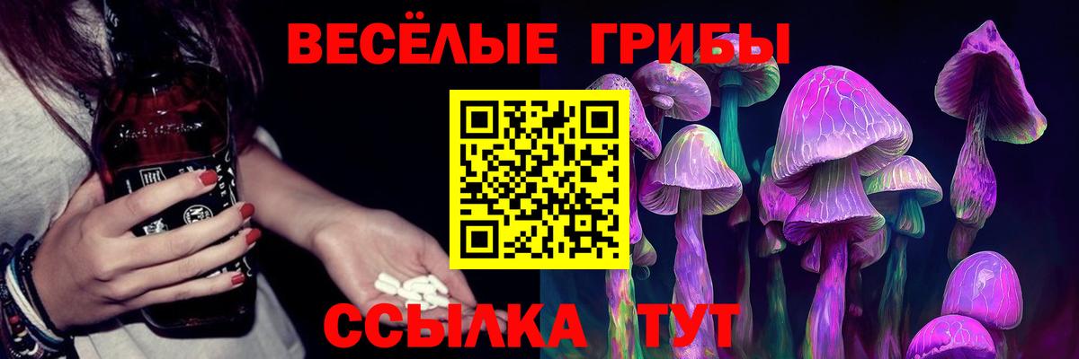 Псилоцибиновые грибы GOLDEN TEACHER  Вход с VPN  Усолье-Сибирское 